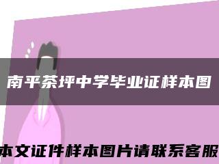 南平茶坪中學畢業證樣本圖縮略圖