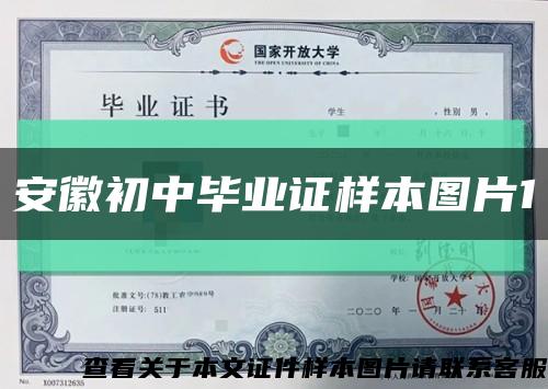 安徽初中畢業證樣本圖片1縮略圖