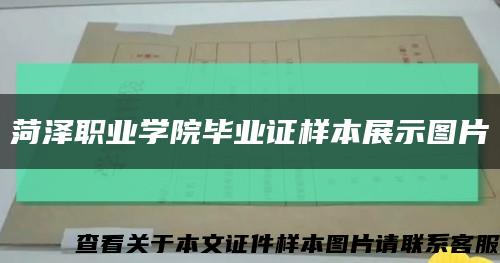 菏澤職業學院畢業證樣本展示圖片縮略圖