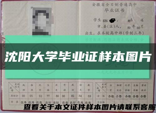 沈陽大學畢業證樣本圖片縮略圖