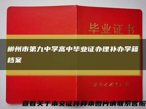 郴州市第九中學高中畢業證辦理補辦學籍檔案縮略圖
