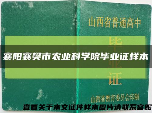 襄陽襄樊市農業科學院畢業證樣本縮略圖