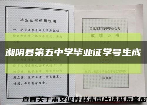湘陰縣第五中學畢業證學號生成縮略圖