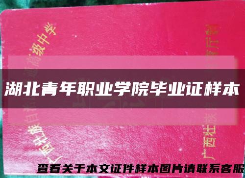 湖北青年職業學院畢業證樣本縮略圖