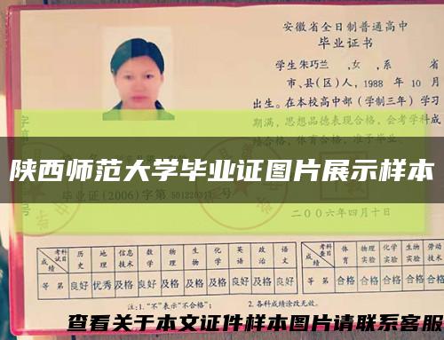 陜西師范大學畢業證圖片展示樣本縮略圖