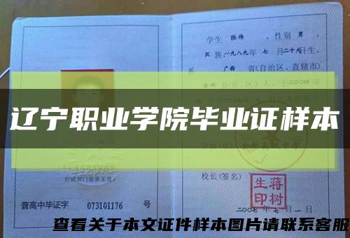 遼寧職業學院畢業證樣本縮略圖