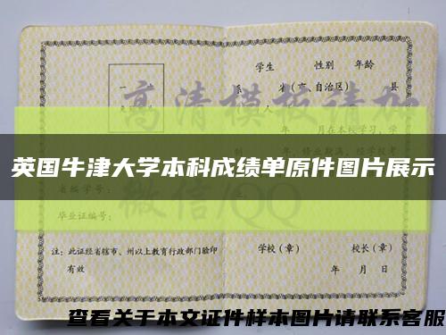 英國牛津大學本科成績單原件圖片展示縮略圖