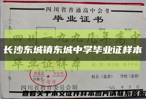 長沙東城鎮東城中學畢業證樣本縮略圖