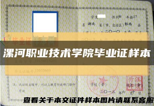 漯河職業技術學院畢業證樣本縮略圖