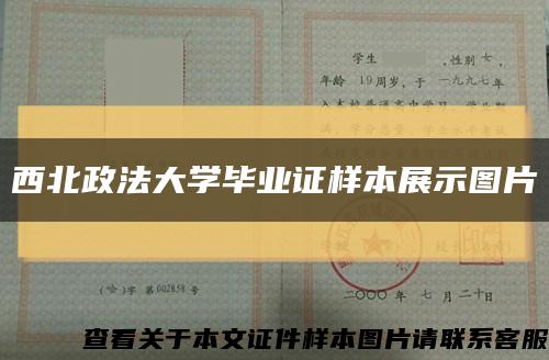 西北政法大學畢業證樣本展示圖片縮略圖