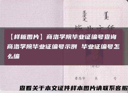 【樣板圖片】商洛學院畢業證編號查詢 商洛學院畢業證編號示例 畢業證編號怎么編縮略圖