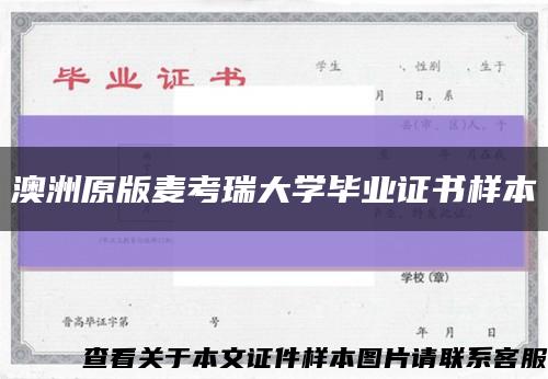 澳洲原版麥考瑞大學畢業證書樣本縮略圖