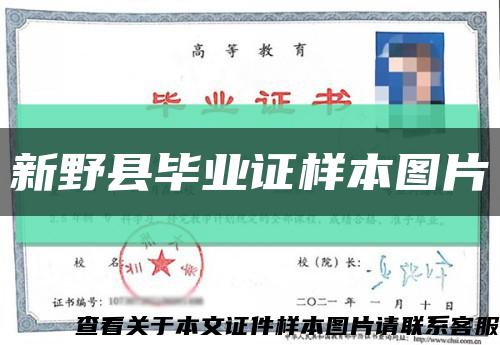 新野縣畢業證樣本圖片縮略圖