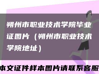 朔州市職業技術學院畢業證圖片（朔州市職業技術學院地址）縮略圖