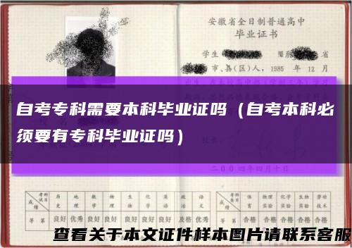 自考?？菩枰究飘厴I證嗎（自考本科必須要有?？飘厴I證嗎）縮略圖