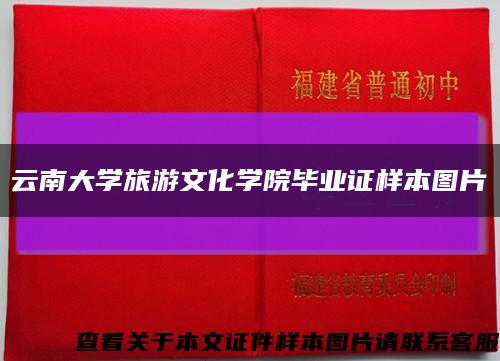 云南大學旅游文化學院畢業證樣本圖片縮略圖