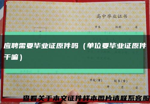 應聘需要畢業證原件嗎（單位要畢業證原件干嘛）縮略圖
