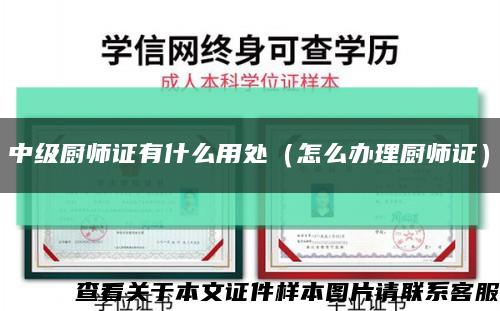 中級廚師證有什么用處（怎么辦理廚師證）縮略圖