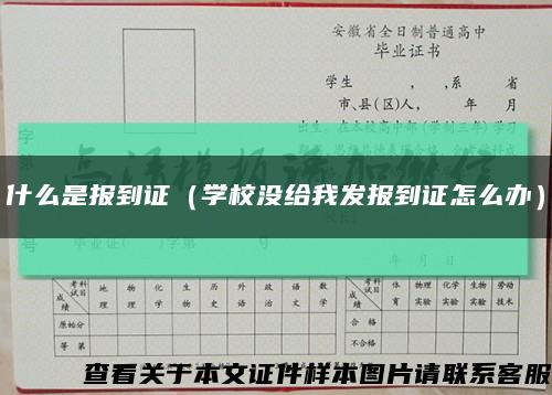 什么是報到證（學校沒給我發報到證怎么辦）縮略圖