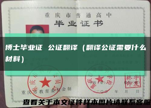 博士畢業證 公證翻譯（翻譯公證需要什么材料）縮略圖
