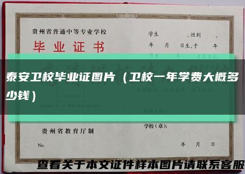泰安衛校畢業證圖片（衛校一年學費大概多少錢）縮略圖