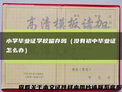 小學畢業證學校留存嗎（沒有初中畢業證怎么辦）縮略圖