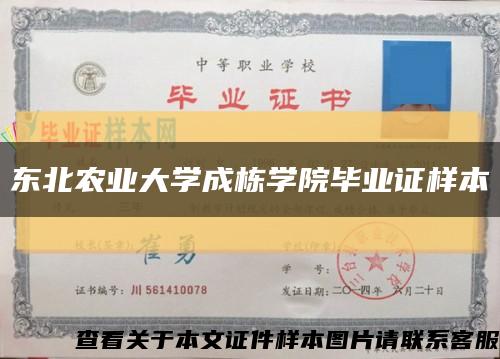 東北農業大學成棟學院畢業證樣本縮略圖