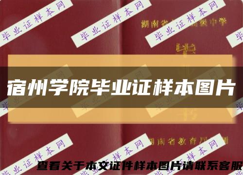 宿州學院畢業證樣本圖片縮略圖