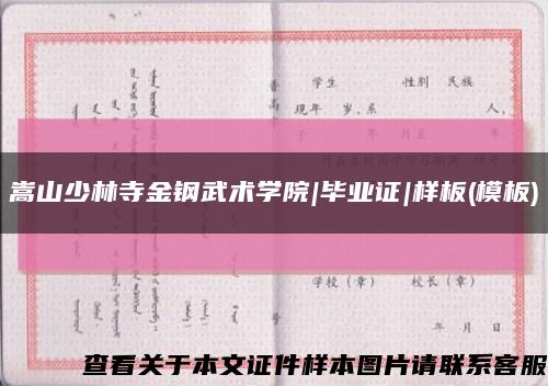 嵩山少林寺金鋼武術學院|畢業證|樣板(模板)縮略圖