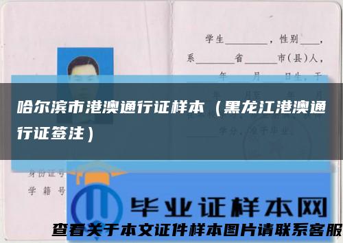 哈爾濱市港澳通行證樣本（黑龍江港澳通行證簽注）縮略圖