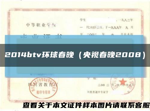 2014btv環球春晚（央視春晚2008）縮略圖