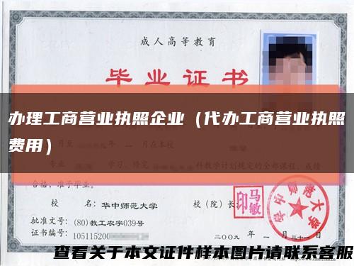 辦理工商營業執照企業（代辦工商營業執照費用）縮略圖