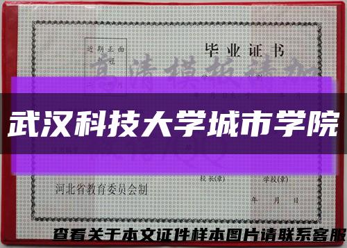武漢科技大學城市學院縮略圖