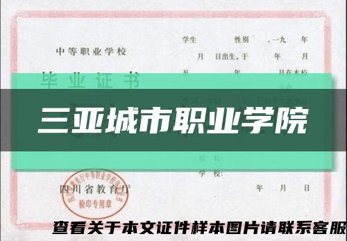 三亞城市職業學院縮略圖