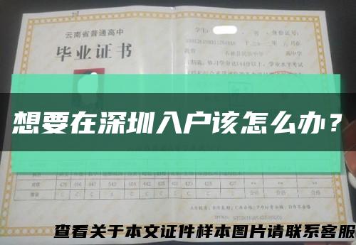 想要在深圳入戶該怎么辦？縮略圖