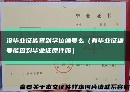 沒畢業證能查到學位編號么（有畢業證編號能查到畢業證原件嗎）縮略圖
