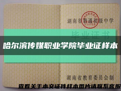 哈爾濱傳媒職業學院畢業證樣本縮略圖