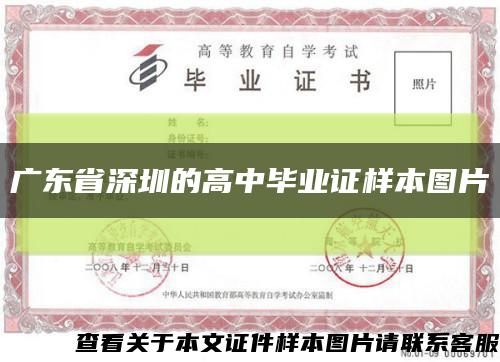 廣東省深圳的高中畢業證樣本圖片縮略圖