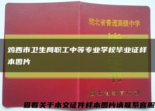 雞西市衛生局職工中等專業學校畢業證樣本圖片縮略圖