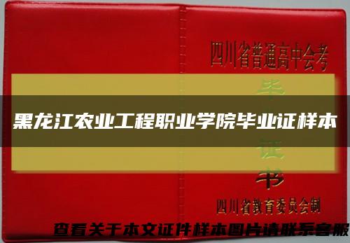 黑龍江農業工程職業學院畢業證樣本縮略圖