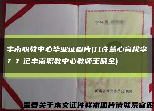 豐南職教中心畢業證圖片(幾許慧心育桃李？？記豐南職教中心教師王曉全)縮略圖