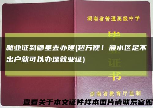 就業證到哪里去辦理(超方便！溧水區足不出戶就可以辦理就業證)縮略圖