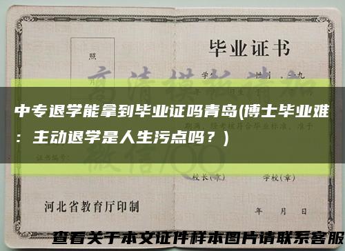 中專退學能拿到畢業證嗎青島(博士畢業難：主動退學是人生污點嗎？)縮略圖