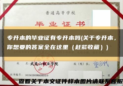 專升本的畢業證有專升本嗎(關于專升本，你想要的答案全在這里（趕緊收藏）)縮略圖