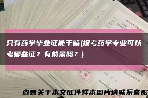 只有藥學畢業證能干嘛(報考藥學專業可以考哪些證？有前景嗎？)縮略圖