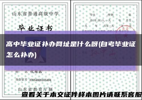高中畢業證補辦網址是什么呀(自考畢業證怎么補辦)縮略圖