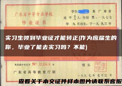 實習生領到畢業證才能轉正(作為應屆生的你，畢業了能去實習嗎？不能)縮略圖