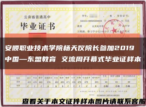 安順職業技術學院楊天儀院長參加2019中國—東盟教育 交流周開幕式畢業證樣本縮略圖