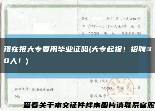 現在報大專要用畢業證嗎(大專起報！招聘30人！)縮略圖