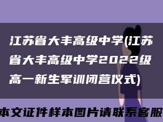 江蘇省大豐高級中學(江蘇省大豐高級中學2022級高一新生軍訓閉營儀式)縮略圖